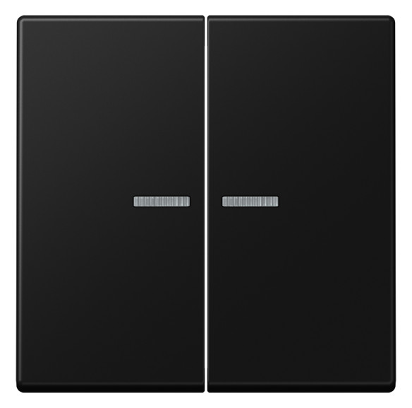 1St. Jung JUNG HOME Taster 2fach BTA17102SWM