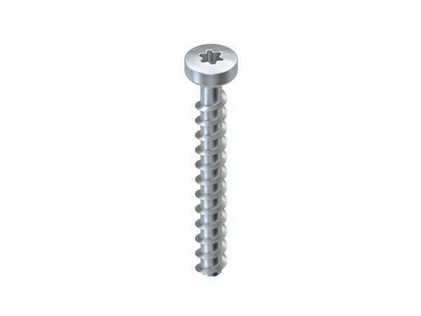 100St. NIEDAX NSA 6X50/FKK-T30 V Niedax-Schraubanker