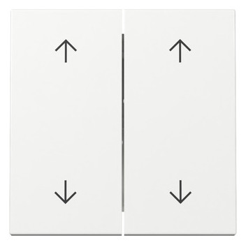 1St. Gira 329703 Wippe 2-fach Pfeile System 55 reinweiß glänzend
