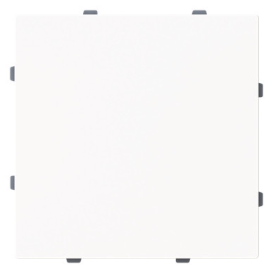 1St. Busch-Jaeger 1742-44M Blindzentralscheibe mit Tragring