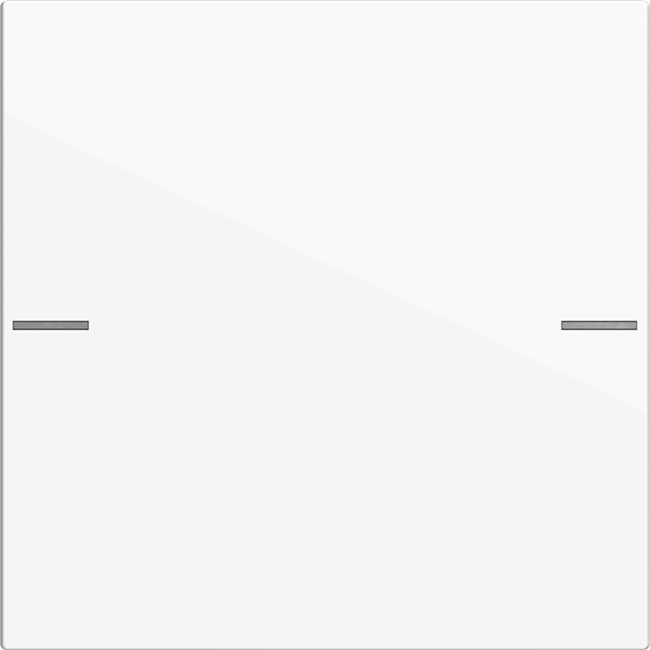 1St. Gira 575103 Wippenset 1fach für Tastsensor 4, Reinweiß glänzend