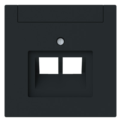 1St. Busch-Jaeger 1803-02-45M Zentralscheibe mit Beschriftungsfeld Kommunikations-Steckverbinder 2-fach schwarz matt - Busch-art linear® schwarz matt 2CKA001710A4230