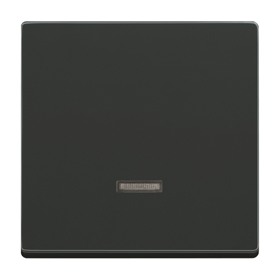 1St. Busch-Jaeger 6543-81-101 Bedienelement, mit Glimmlampe Busch-dynasty anthrazit