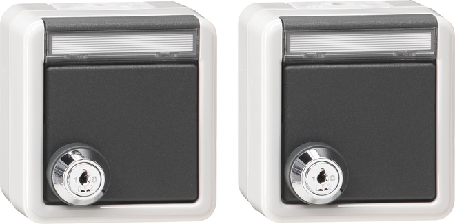 1St. Gira 456030 Set 2x Steckdosen 16 A 250 V~ mit Klappdeckel, gleichschließendem Schloss und Beschriftungsfeld
