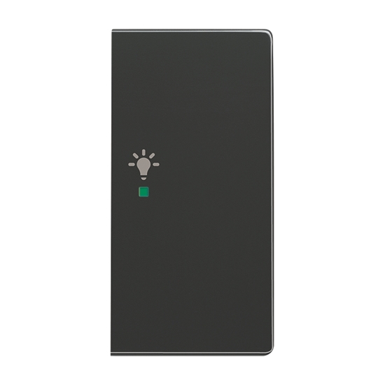 1St. Busch-Jaeger 6231-22-81 Wippe, 2-fach rechts, mit Symbol Licht Busch-free@home anthrazit