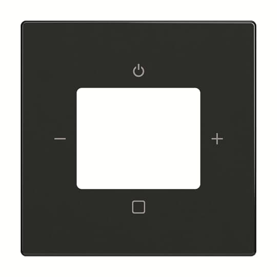 1St. Busch-Jaeger 8252-885-101 Zentralscheibe schwarz matt für Busch-Radio DAB+ 2CKA008200A0260