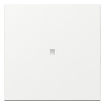 1St. Gira 329003 Wippe Kontrollfenster System 55 reinweiß glänzendNachfolger zu 029003 1St. Gira 329003 Wippe Kontrollfenster System 55 reinweiß glänzendNachfolger zu 029003