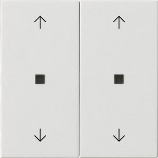 1St. Gira 538603 Wippe 2f Pfeile Kontrollf. System 55