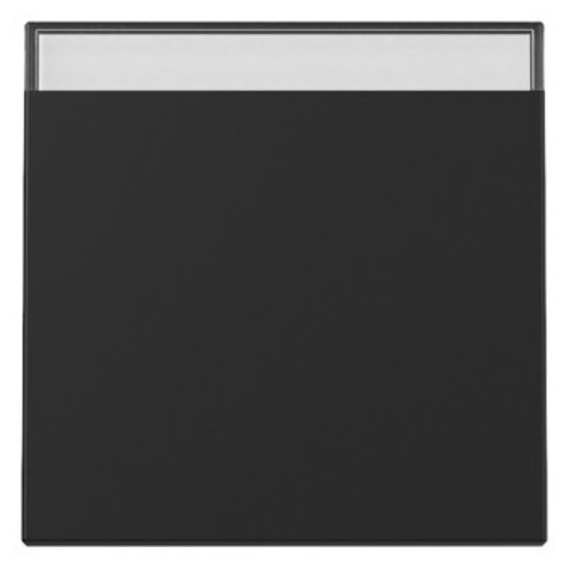 1St. Gira 3299005 Wippe BSF System 55 schwarz matt