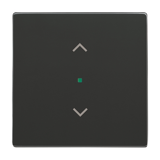 1St. Busch-Jaeger 6232-10-81 Wippe, 1-fach, mit Symbol Jalousie Busch-free@home anthrazit