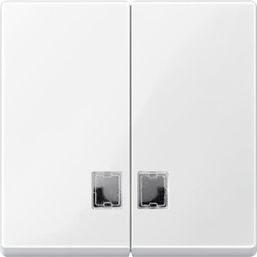 1St. Merten 438519 Wippe für Serienschalter mit Symbolfenster, polarweiß glänzend, System M