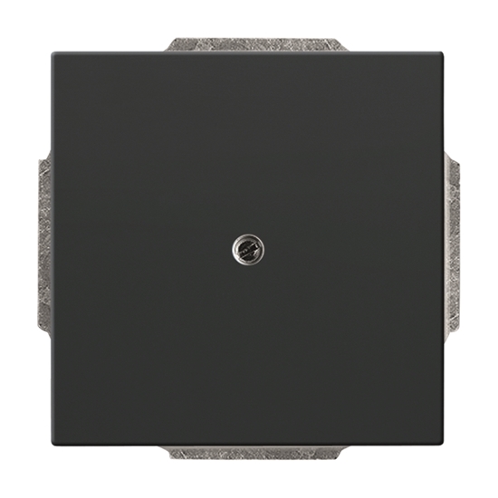 1St. Busch-Jaeger 1742-81 Blindzentralscheibe, mit Tragring Busch-dynasty anthrazit