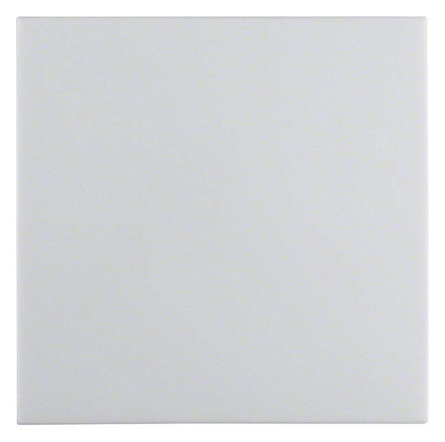 1St. Berker 16298989 Wippe mit Befestigungsstück S.1 IP44 polarweiß glänzend