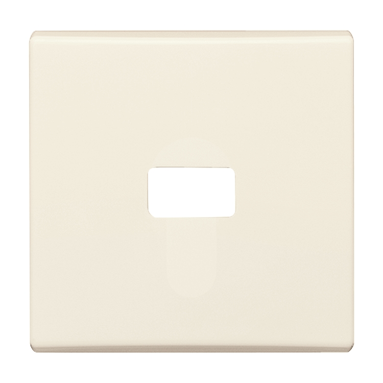 1St. Busch-Jaeger 2120-32 Wippe, offen für Symbol Allwetter 44 (IP 44) cremeweiß