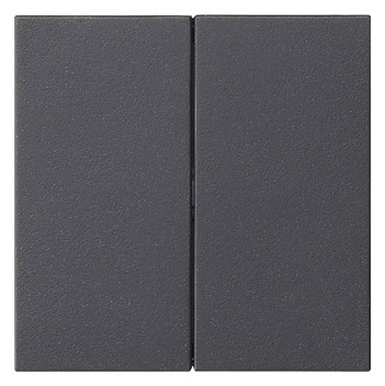 1St. Gira 537028 Wippe 2f unbedruckt System 55 Anthrazit