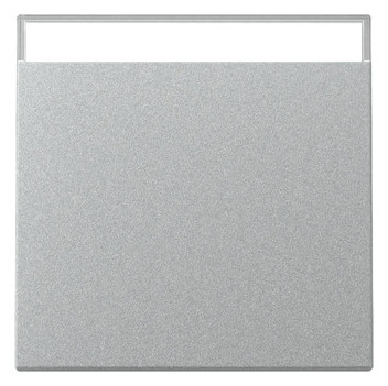 1St. Gira 329926 Wippe BSF System 55 Farbe Alu