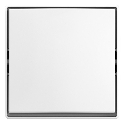 1St. Busch-Jaeger 2601/6 J-524 Wippschalter Aus-/Wechselschaltung Auputz alpinweiß 2TKA00005521