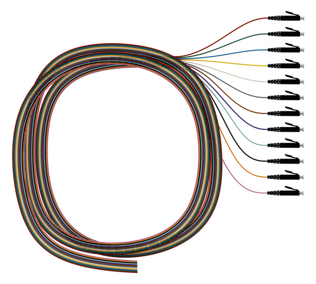 1St. Protec.net PPS12OM42 Pigtailsatz 1x12 LC OM4, 2m