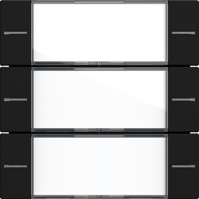 1St. Gira 5773005 Wippenset 3fach mit Beschriftungsfeld für Tastsensor 4, Klar Schwarz matt