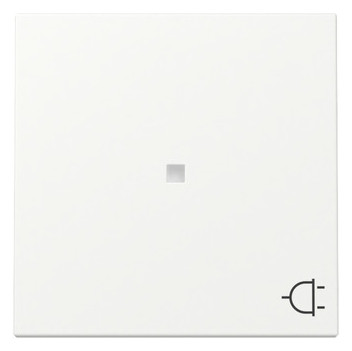 1St. Gira 329127 Wippe Kontrollfenster + Symbol Steckd. System reinweiß seidenmatt