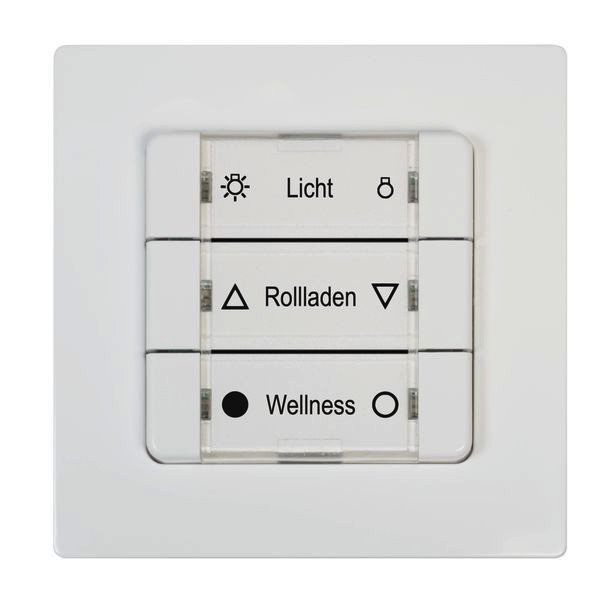 1St. Rademacher 32501974 DuoFern Mehrfachwandtaster BAT 9494-1
