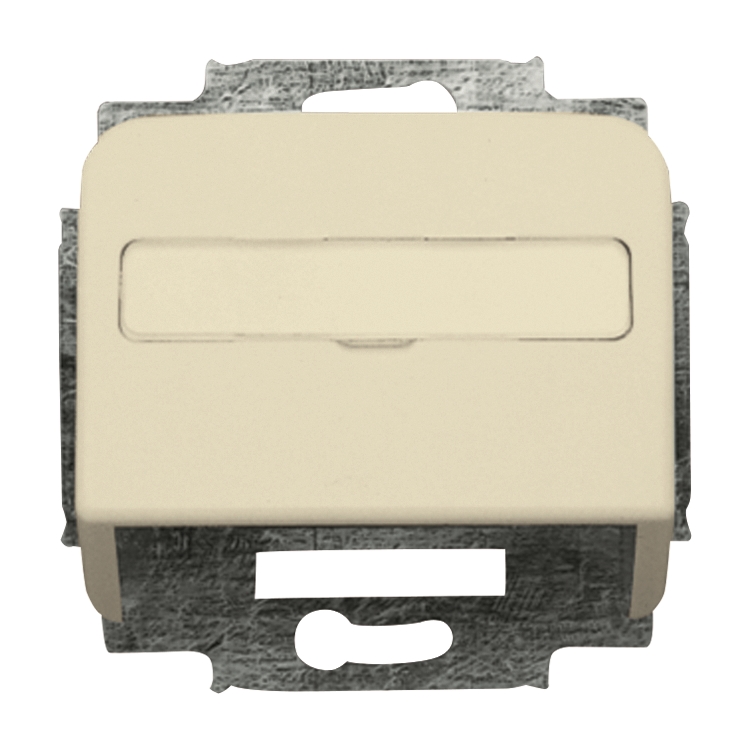 1St. Busch-Jaeger 1758-212 Zentralscheibe, mit Tragring Busch-Duro 2000 SI cremeweiß