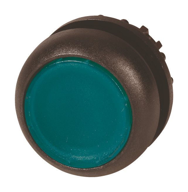 1St. Eaton M22S-DL-G 216928 Leuchtdrucktaste flach, grün, blanko, Zubehör für Meldegerät, M22S-DL-G