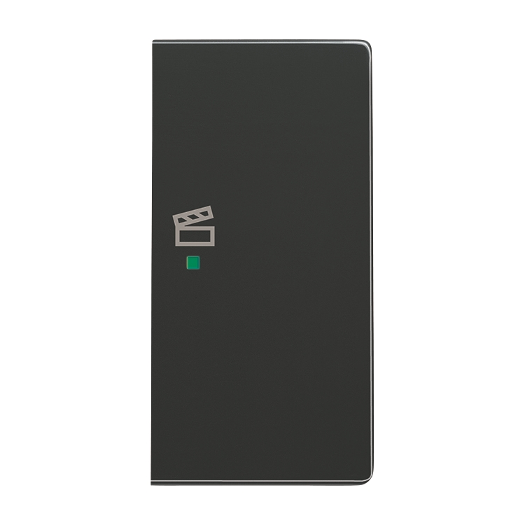 1St. Busch-Jaeger 6233-22-81 Wippe, 2-fach rechts, mit Symbol Szene Busch-free@home anthrazit