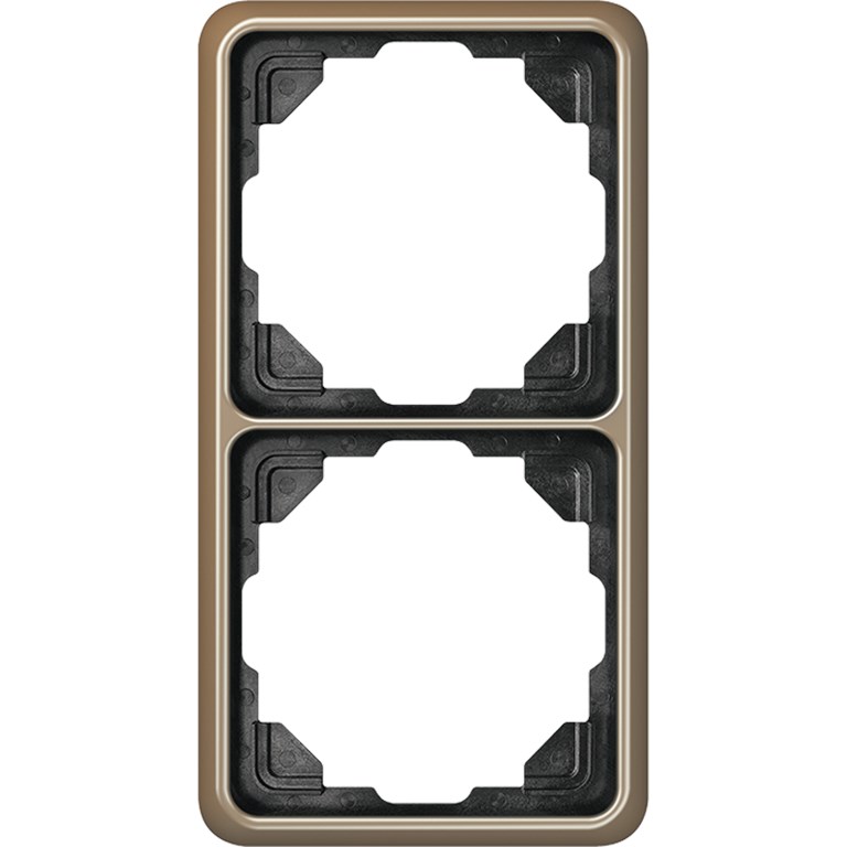 1St. Jung CD582GB Rahmen 2fach für waagerechte und senkrechte Kombination CD 582 GB