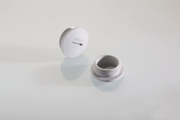 50St. Pflitsch 28855 M 20x1,5 Blindstopfen 514GFK/220