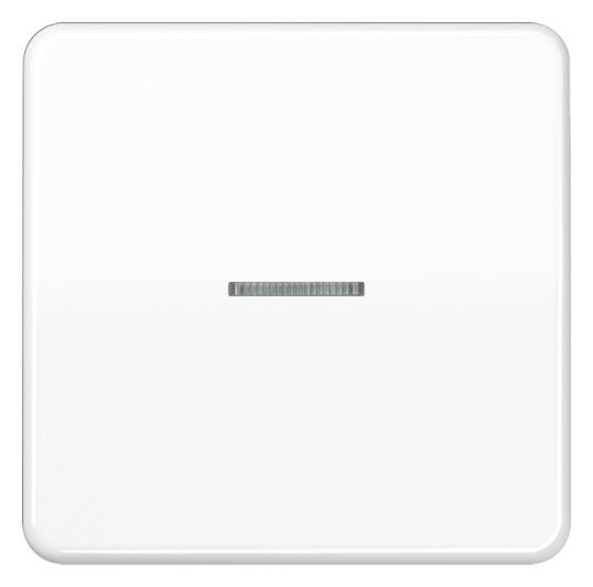 1St. Jung HOME Taster 1fach BTCD17101WW