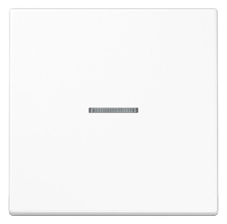 1St. Jung Home Taster 1fach BTLS17101WW