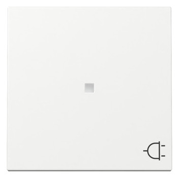 1St. Gira 329103 Wippe Kontrollfenster + Symbol Steckd. System 55 reinweiß glänzend