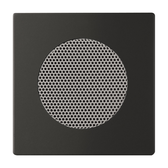 1St. Busch-Jaeger 8253-885 Zentralscheibe carat schwarz matt