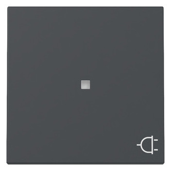 1St. Gira 329128 Wippe Kontrollfenster + Symbol Steckd. System 55 anthrazit