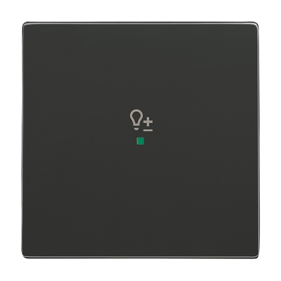 1St. Busch-Jaeger 6234-10-81 Wippe, 1-fach, mit Symbol Dimmer Busch-free@home anthrazit