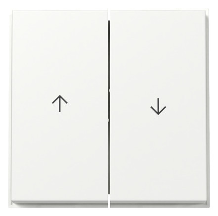 1St. Gira 329466 Wippe 2-fach Pfeil Gira TX_44 (WG UP) reinweiß