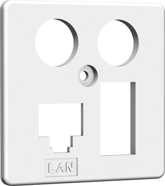 1St. Homeway HAXHSE-G0401-C024 Zentralplatte TV + LAN/TAE 50x50mm rw,In