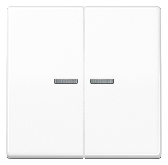 1St. Jung AS 591-5 KO5BF WW Wippe 2fach mit Lichtleiter, Thermoplast 1St. Jung AS 591-5 KO5BF WW Wippe 2fach mit Lichtleiter, Thermoplast