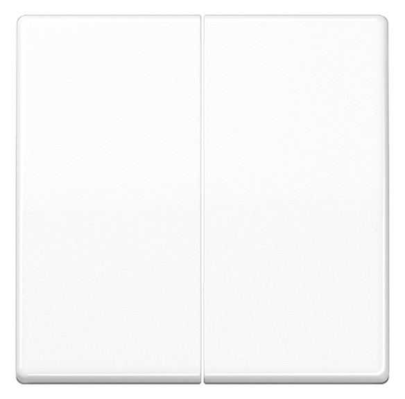 1St. Jung AS1702WW Steuertaste 2-fach Standard AS1702WW, alpinweiß glänzend 1St. Jung AS591-5WW Wippe für Serienschalter Alpinweiß AS 591-5 WW