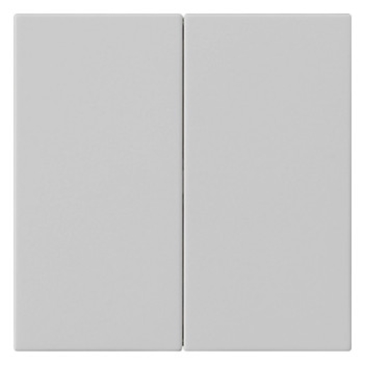 1St. Gira 5370015 Wippe 2f unbedruckt System 55 Grau m