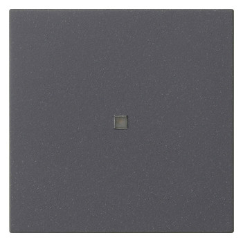 1St. Gira 537128 Wippe 1f unbedruckt Kontrollf. System 55