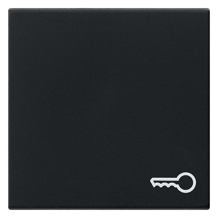 1St. Gira 0287005 Wippe Symb. Tür System 55 Schwarz m