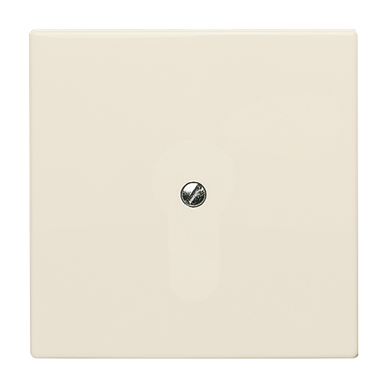 1St. Busch-Jaeger 2138-32 Blindzentralscheibe, mit Tragring Allwetter 44 (IP 44) cremeweiß