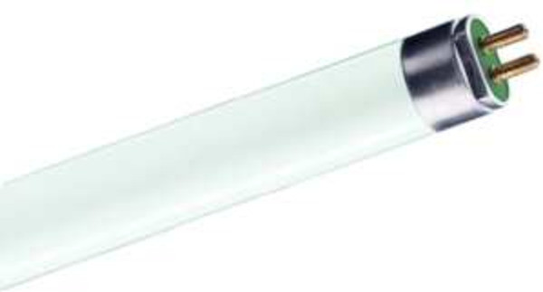 1St. Philips MST TL Mini 8W/840 F MASTER TL Mini Super 80 - Fluorescent