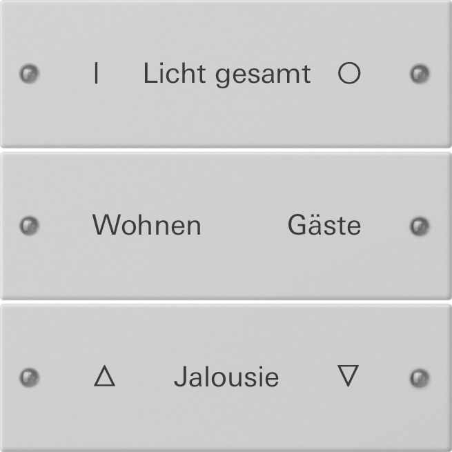 1St. Gira 2203015 Wippenset 3f beschr. System 55 Grau m(lack.)