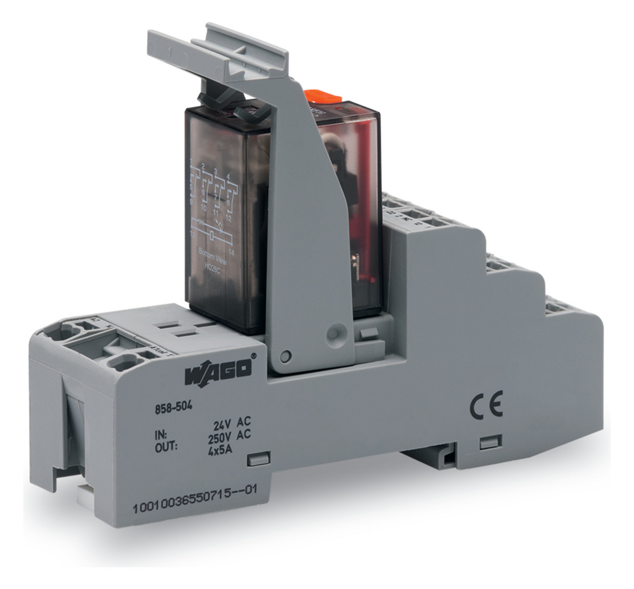 100St. WAGO 858-504 Relaismodul Eingangsnennspannung AC 24 V