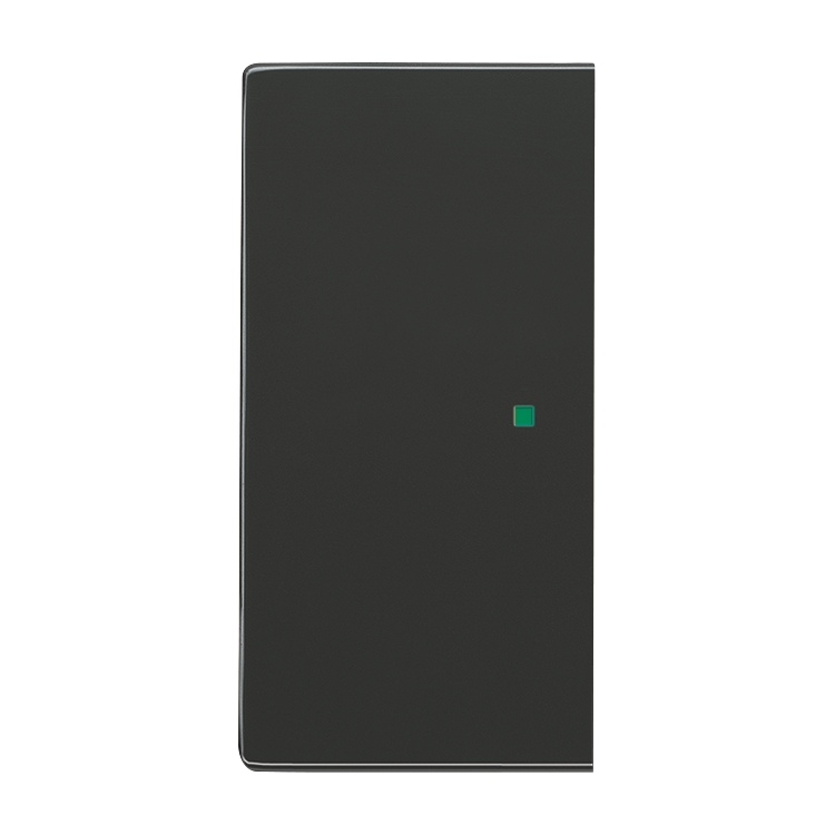 1St. Busch-Jaeger 6230-20-81 Wippe, 2-fach links/rechts, ohne Bedruckung Busch-free@home anthrazit