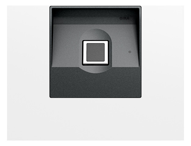 1St. Gira Gira Keyless In 5551902 Fingerprintmodul System