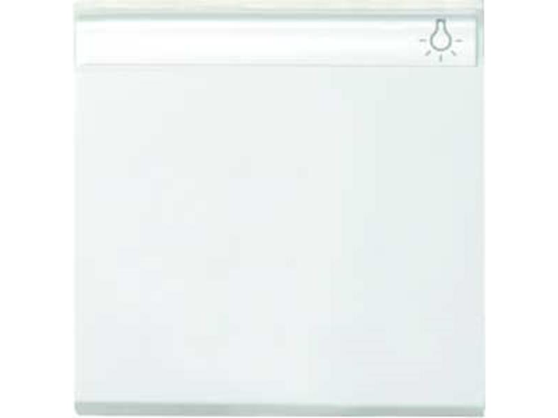 1St. Gira 029903 Wippe Beschriftungsfeld System 55 Reinweiß glänzend